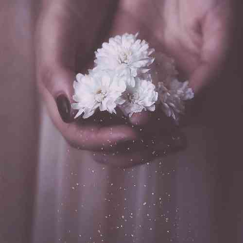 قاسم فاضلی می تو را تو طلب کن فقط از ساغر ساقی شعله ای که بسوزد